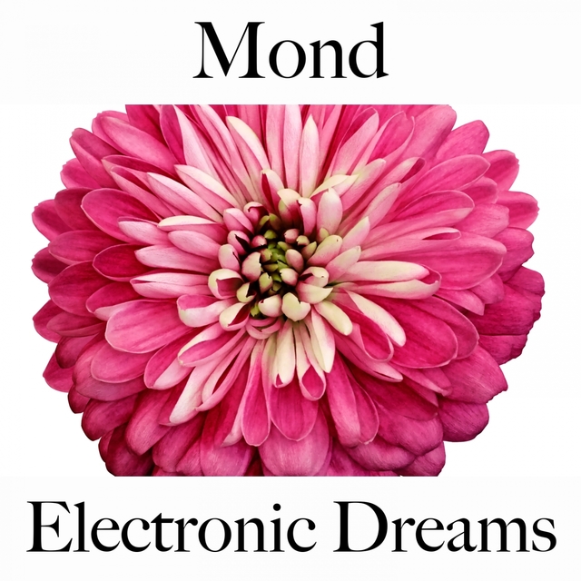 Mond: Electronic Dreams - Die Beste Musik Zum Entspannen