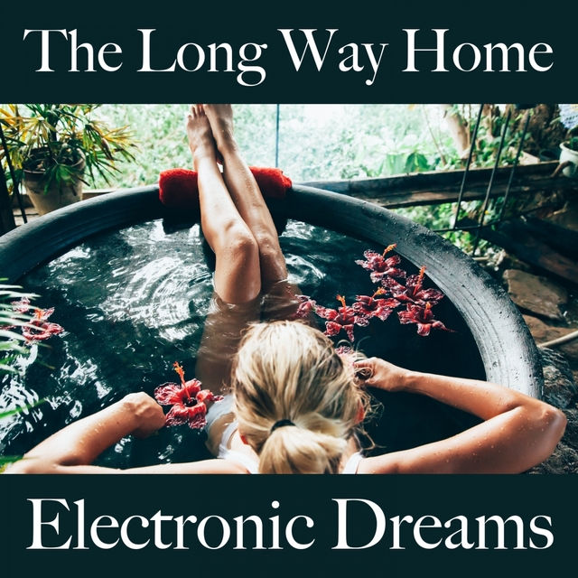 The Long Way Home: Electronic Dreams - Die Besten Sounds Zum Entspannen