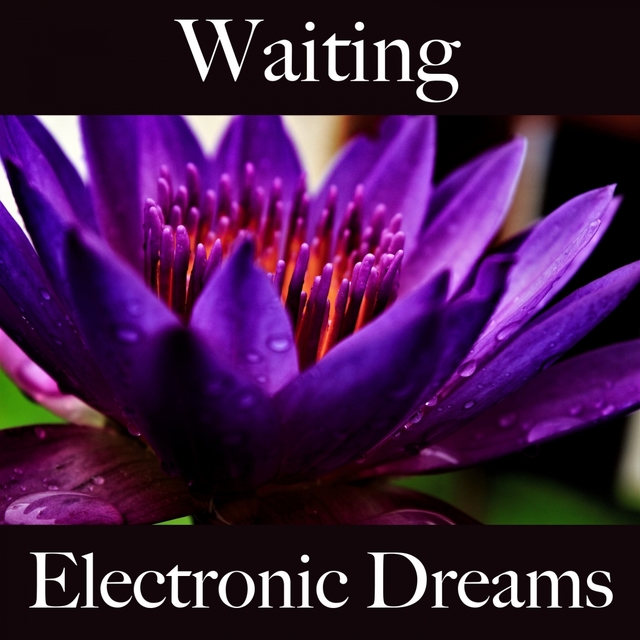 Waiting: Electronic Dreams - The Best Sounds For Relaxation