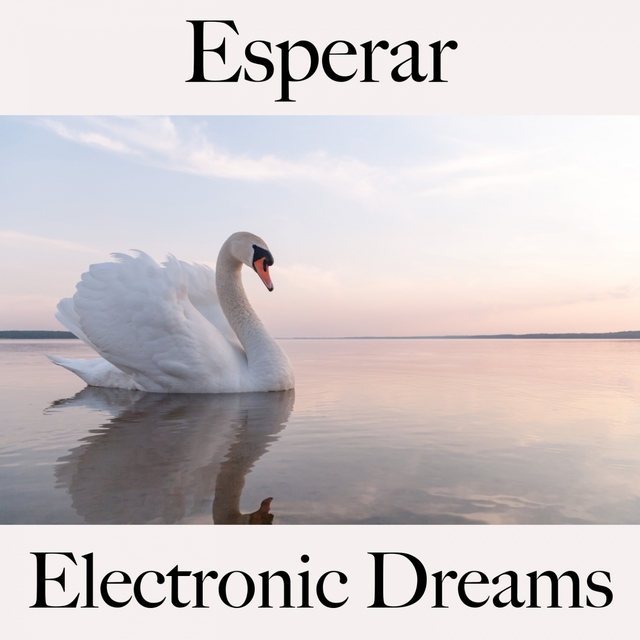 Esperar: Electronic Dreams - Os Melhores Sons Para Relaxar