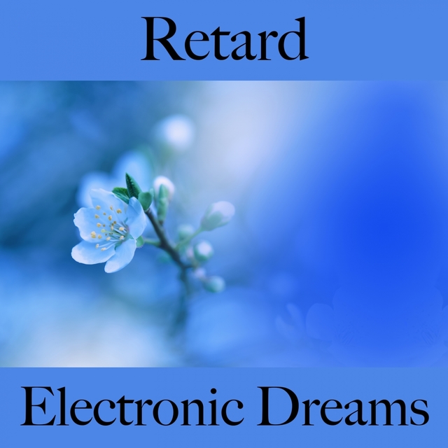 Retard: Electronic Dreams - Les Meilleurs Sons Pour Se Détendre