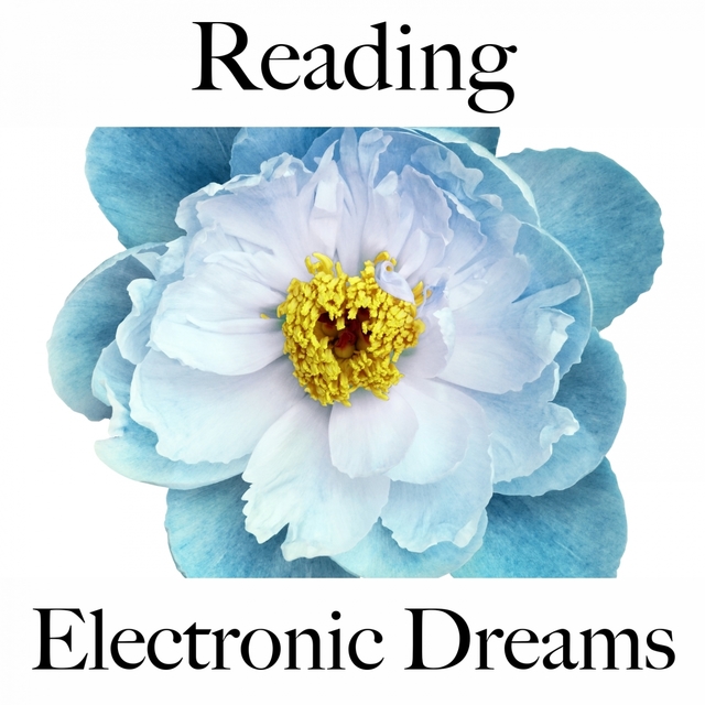 Reading: Electronic Dreams - The Best Music For Relaxation