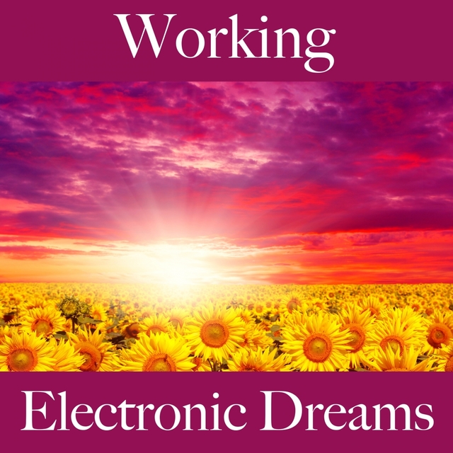Working: Electronic Dreams - The Best Music For Relaxation