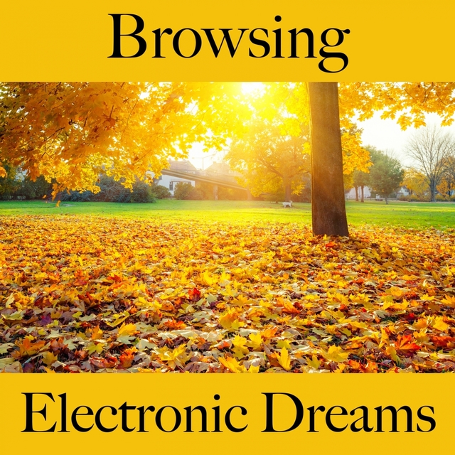 Browsing: Electronic Dreams - The Best Music For Relaxation