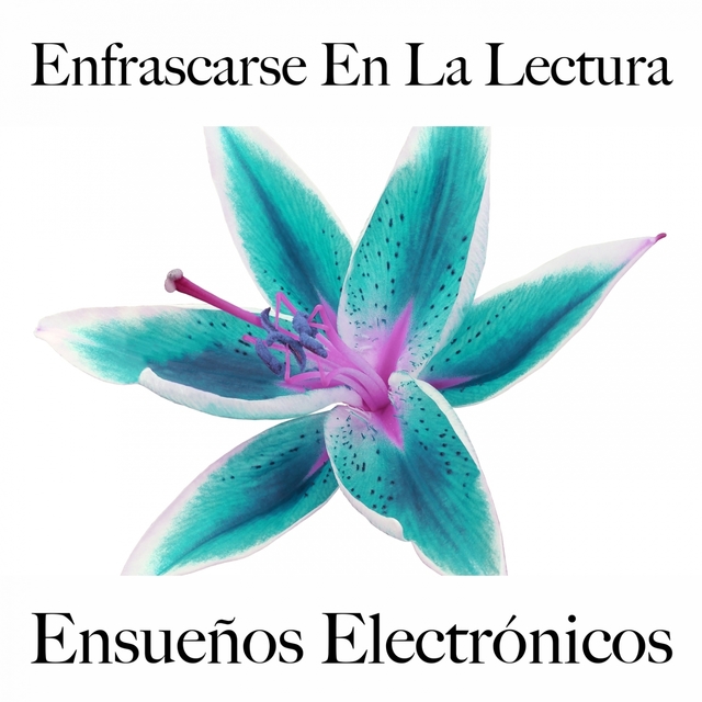 Enfrascarse En La Lectura: Ensueños Electrónicos - La Mejor Música Para Descansarse