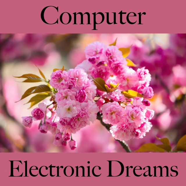 Computer: Electronic Dreams - The Best Music For Relaxation