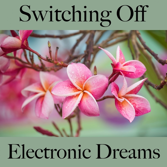 Switching Off: Electronic Dreams - The Best Music For Relaxation