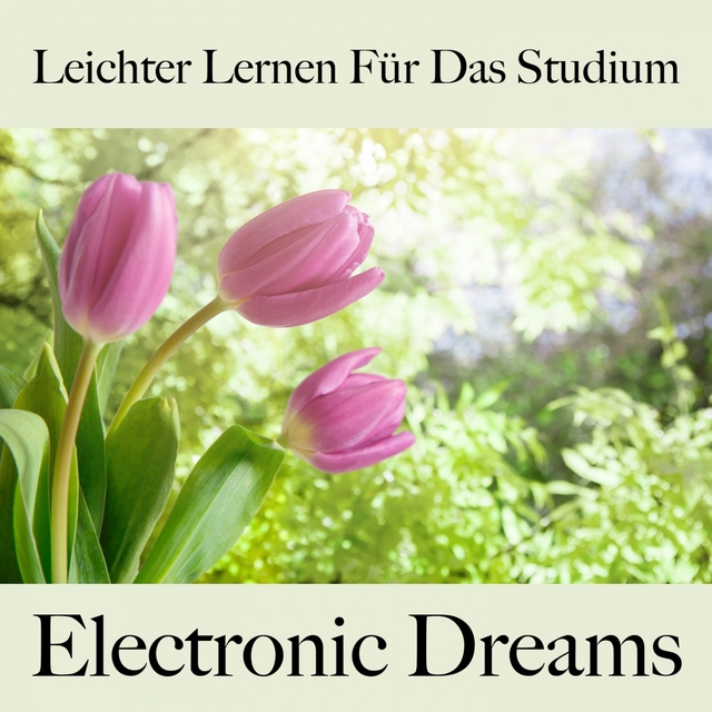 Leichter Lernen Für Das Studium: Electronic Dreams - Die Beste Musik Zum Entspannen