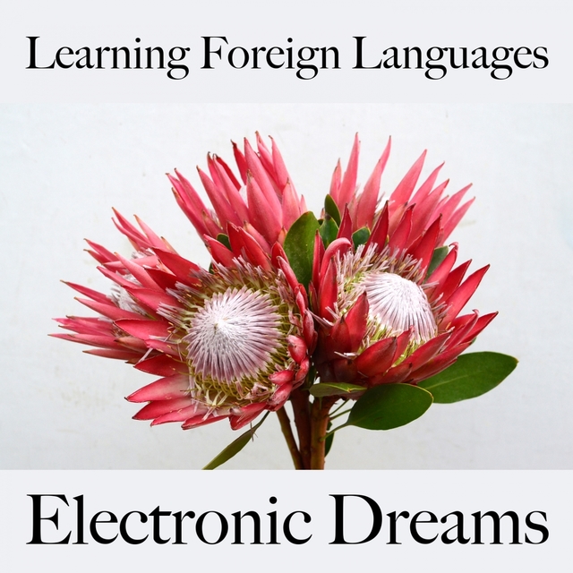 Learning Foreign Languages: Electronic Dreams - The Best Music For Relaxation