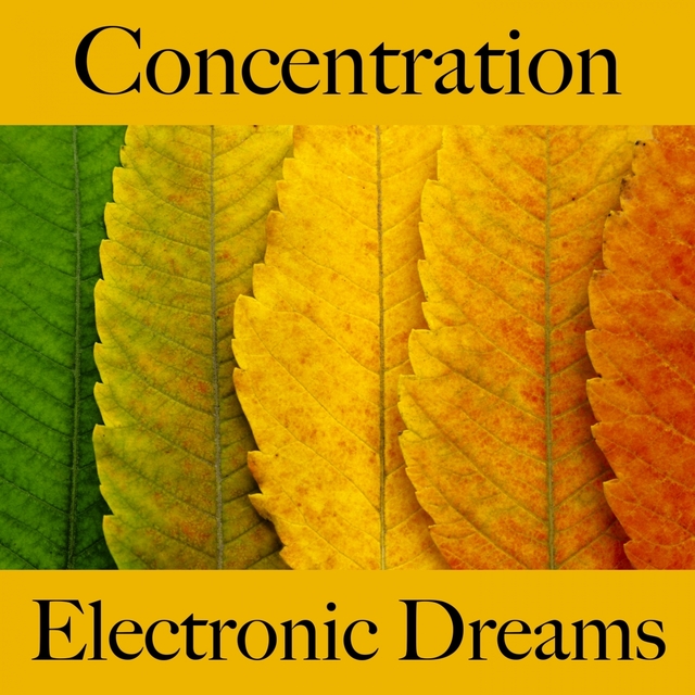 Concentration: Electronic Dreams - The Best Music For Relaxation