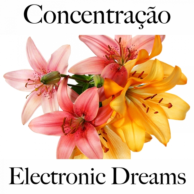 Concentração: Electronic Dreams - A Melhor Música Para Relaxar