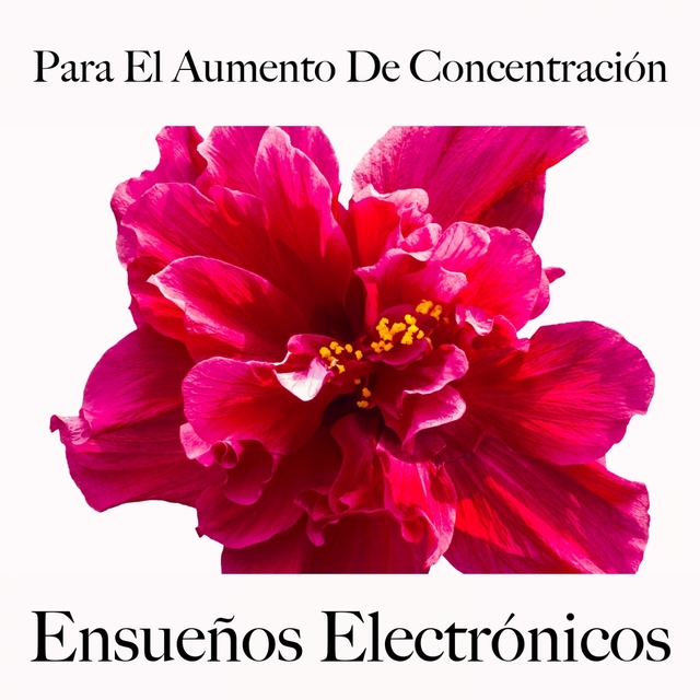 Para El Aumento De Concentración: Ensueños Electrónicos - La Mejor Música Para Descansarse