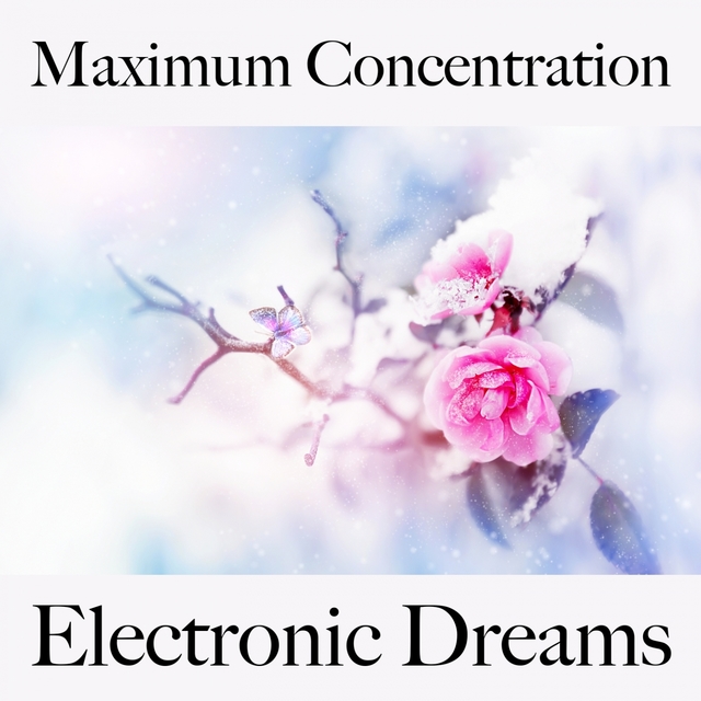 Maximum Concentration: Electronic Dreams - The Best Music For Relaxation