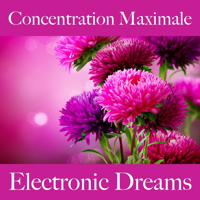Concentration Maximale: Electronic Dreams - La Meilleure Musique Pour Se Détendre