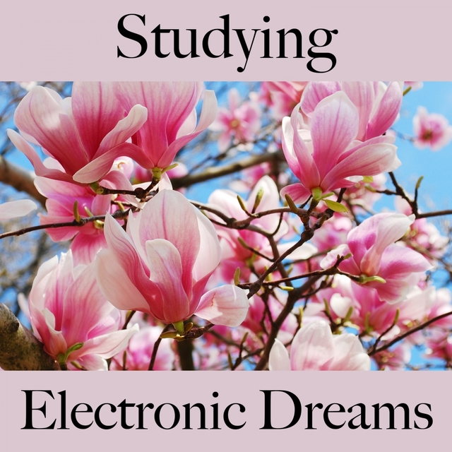 Studying: Electronic Dreams - The Best Music For Relaxation