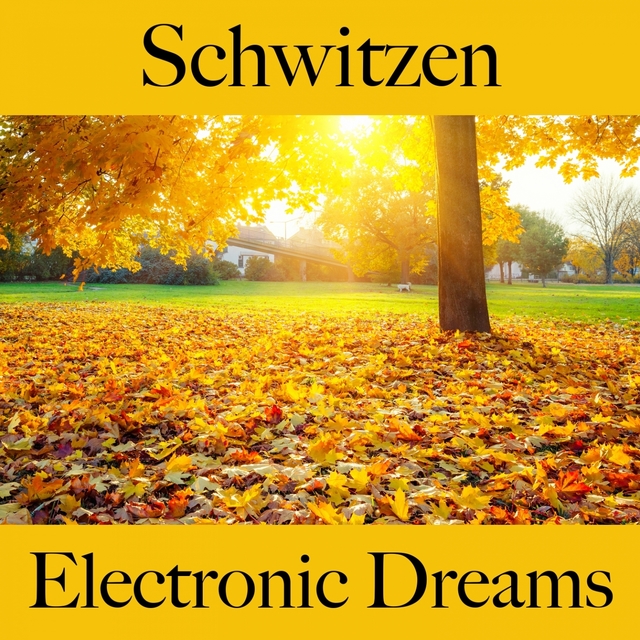 Schwitzen: Electronic Dreams - Die Besten Sounds Zum Workout