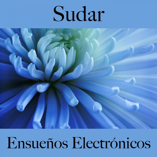 Sudar: Ensueños Electrónicos - Los Mejores Sonidos Para El Entrenamiento