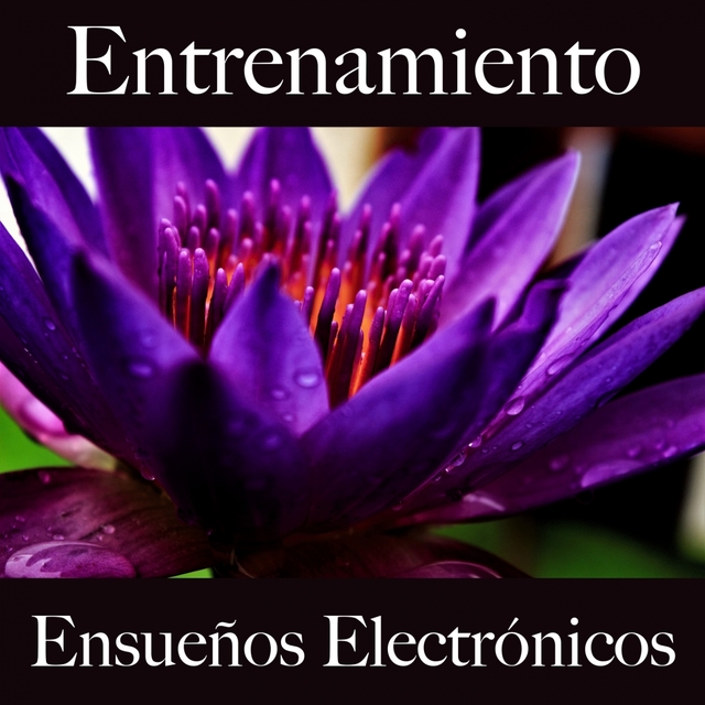 Entrenamiento: Ensueños Electrónicos - Los Mejores Sonidos Para El Entrenamiento