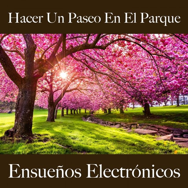 Hacer Un Paseo En El Parque: Ensueños Electrónicos - Los Mejores Sonidos Para El Entrenamiento