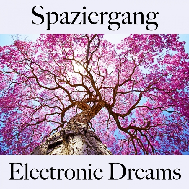 Spaziergang: Electronic Dreams - Die Besten Sounds Zum Workout