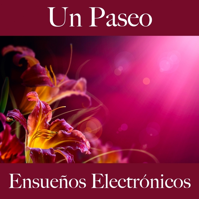 Un Paseo: Ensueños Electrónicos - Los Mejores Sonidos Para El Entrenamiento