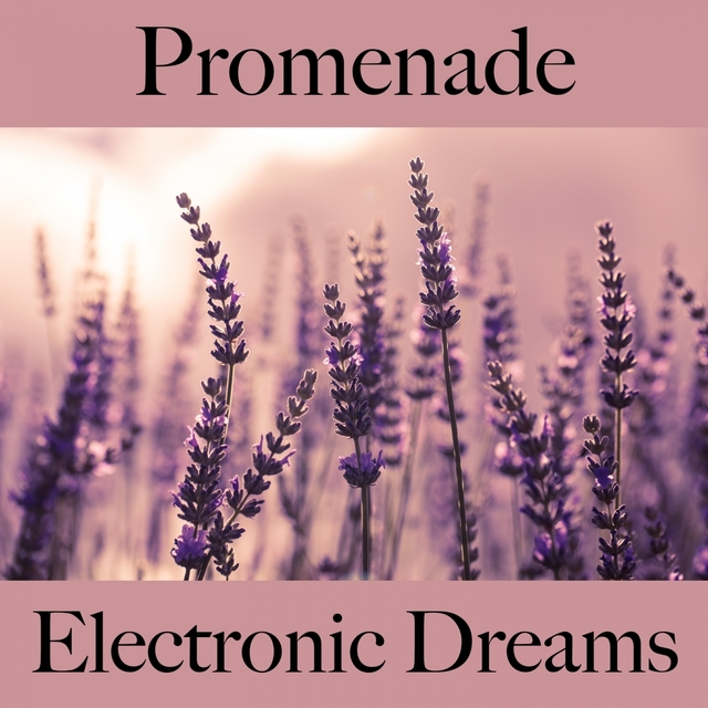 Promenade: Electronic Dreams - Les Meilleurs Sons Pour L'Entraînement