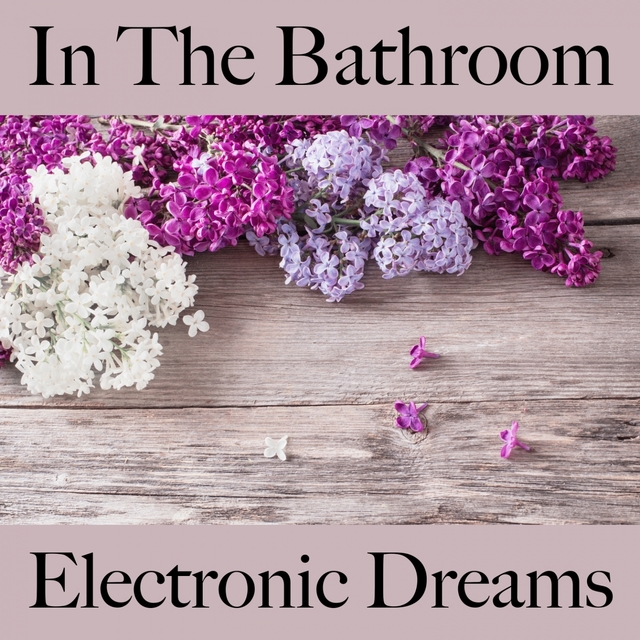 In The Bathroom: Electronic Dreams - The Best Sounds For Relaxation