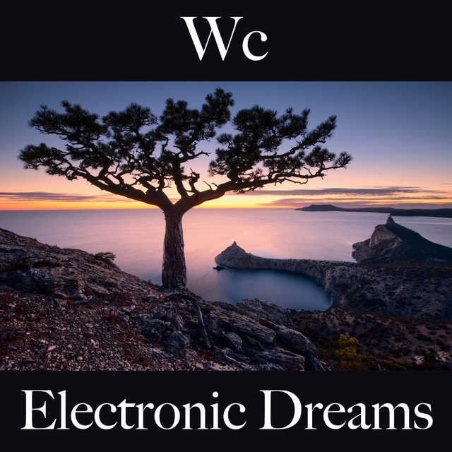 Wc: Electronic Dreams - Les Meilleurs Sons Pour Se Détendre