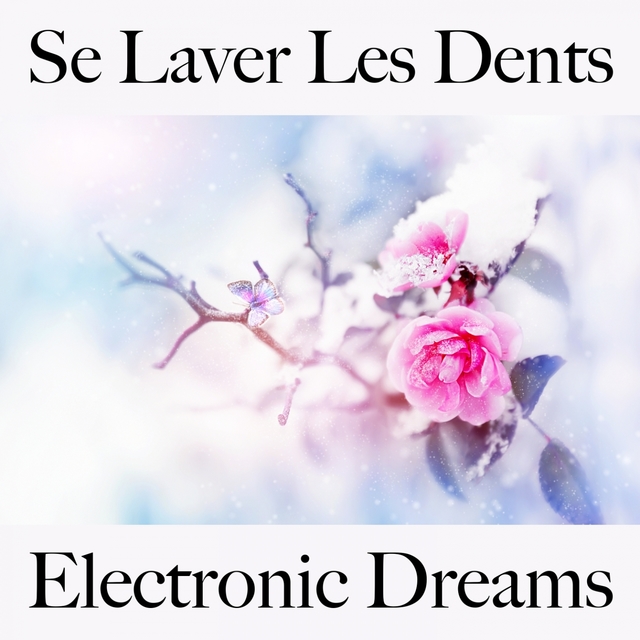 Se Laver Les Dents: Electronic Dreams - Les Meilleurs Sons Pour Se Détendre