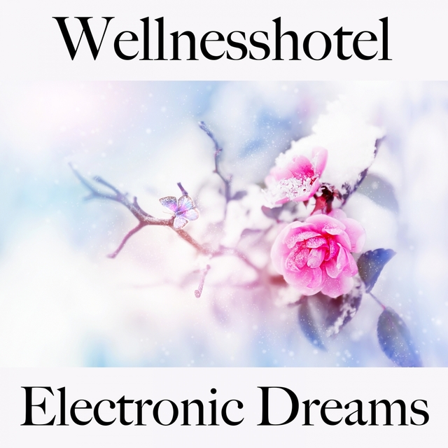 Wellnesshotel: Electronic Dreams - Die Besten Sounds Zum Entspannen