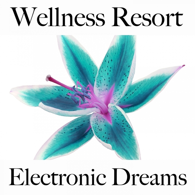 Wellness Resort: Electronic Dreams - The Best Sounds For Relaxation