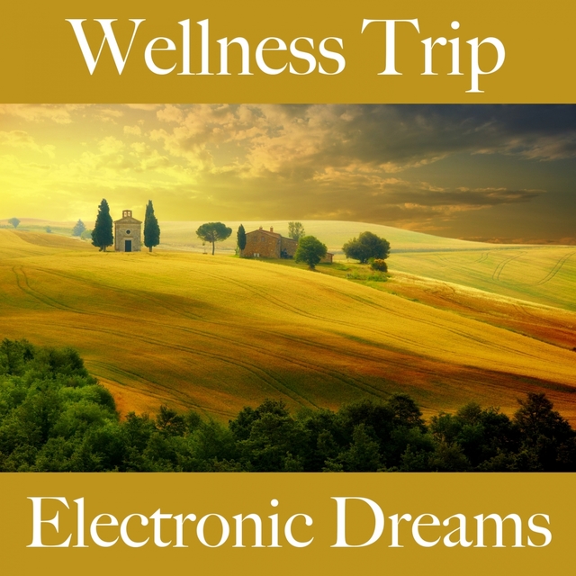 Wellness Trip: Electronic Dreams - The Best Sounds For Relaxation