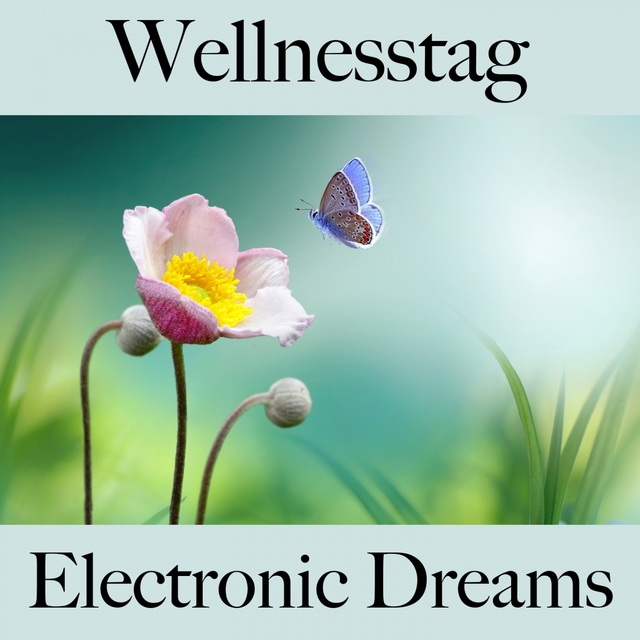 Wellnesstag: Electronic Dreams - Die Besten Sounds Zum Entspannen