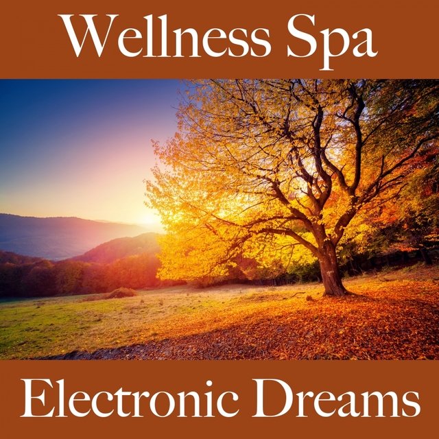 Wellness Spa: Electronic Dreams - The Best Sounds For Relaxation