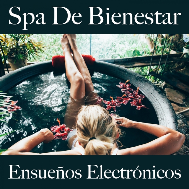 Spa De Bienestar: Ensueños Electrónicos - Los Mejores Sonidos Para Descansarse