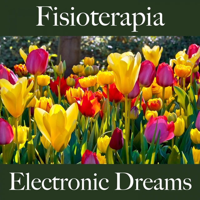 Fisioterapia: Electronic Dreams - A Melhor Música Para Relaxar