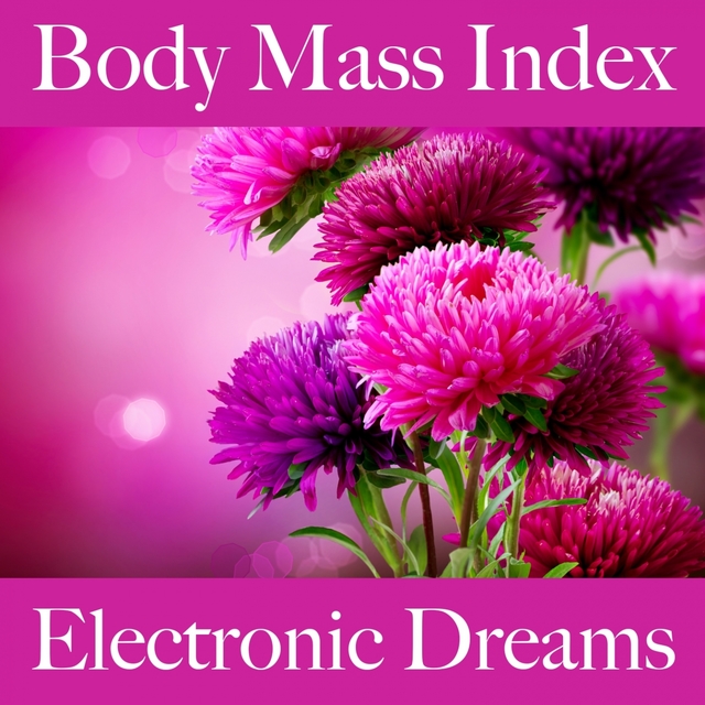 Body Mass Index: Electronic Dreams - Die Beste Musik Zum Entspannen