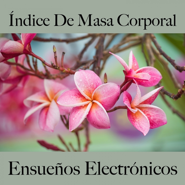 Índice De Masa Corporal: Ensueños Electrónicos - La Mejor Música Para Descancarse