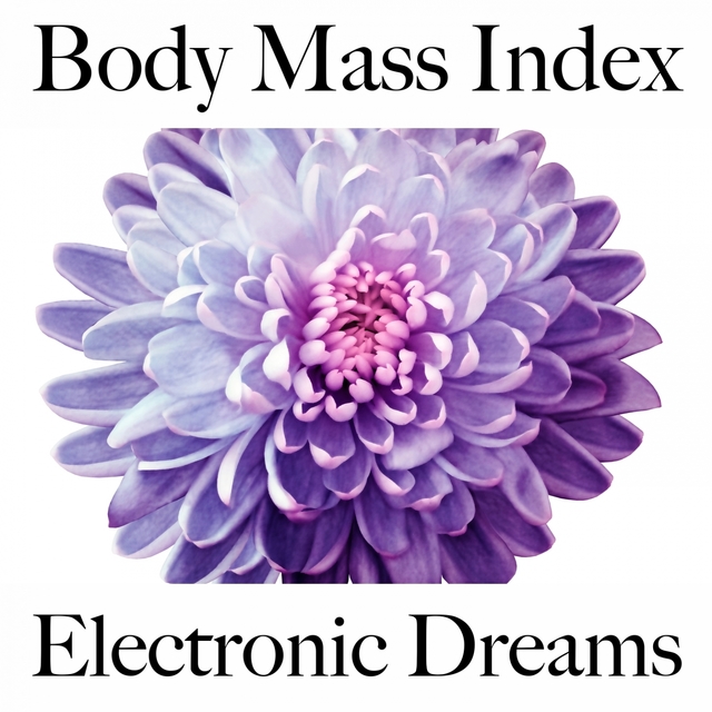 Body Mass Index: Electronic Dreams - A Melhor Música Para Relaxar