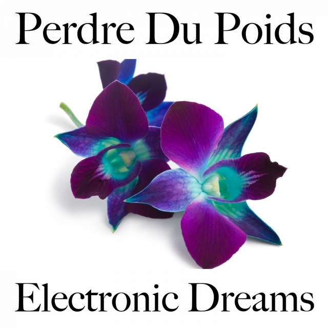 Perdre Du Poids: Electronic Dreams - La Meilleure Musique Pour Se Détendre