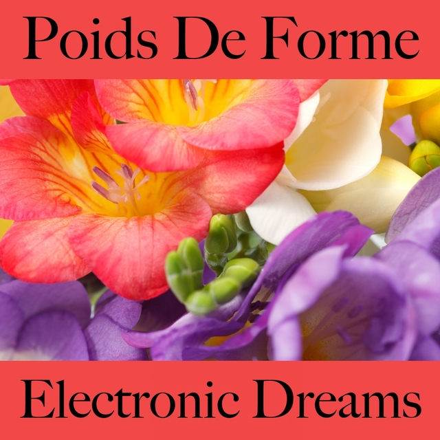 Poids De Forme: Electronic Dreams - La Meilleure Musique Pour Se Détendre