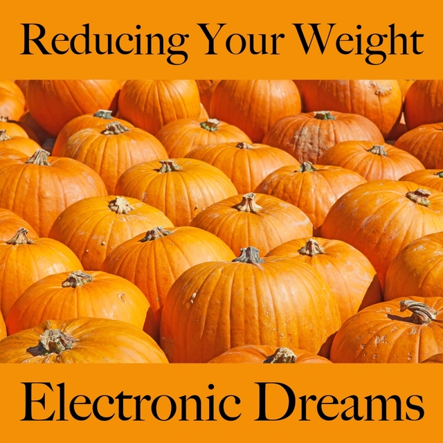 Reducing Your Weight: Electronic Dreams - The Best Music For Relaxation