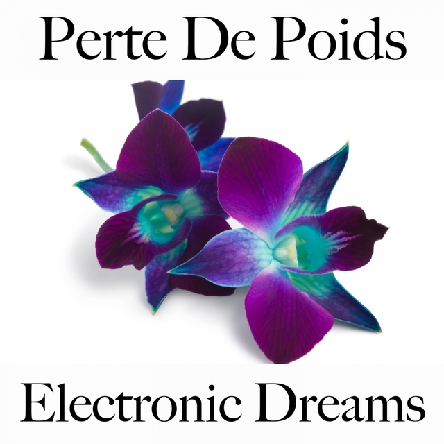 Perte De Poids: Electronic Dreams - La Meilleure Musique Pour Se Détendre