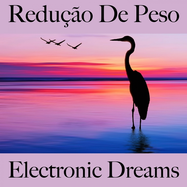 Redução De Peso: Electronic Dreams - A Melhor Música Para Relaxar