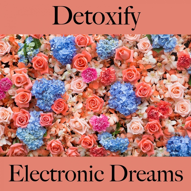 Detoxify: Electronic Dreams - The Best Music For Relaxation