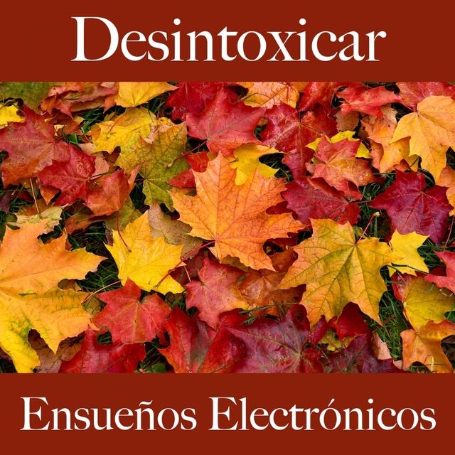 Desintoxicar: Ensueños Electrónicos - La Mejor Música Para Descancarse