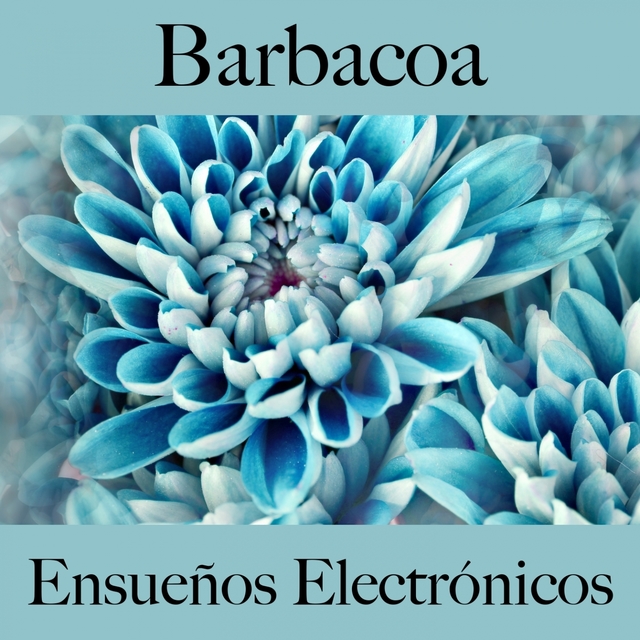 Barbacoa: Ensueños Electrónicos - Los Mejores Sonidos Para Descancarse