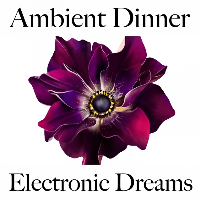 Ambient Dinner: Electronic Dreams - Die Besten Sounds Zum Entspannen