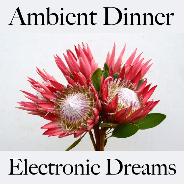 Ambient Dinner: Electronic Dreams - The Best Sounds For Relaxation