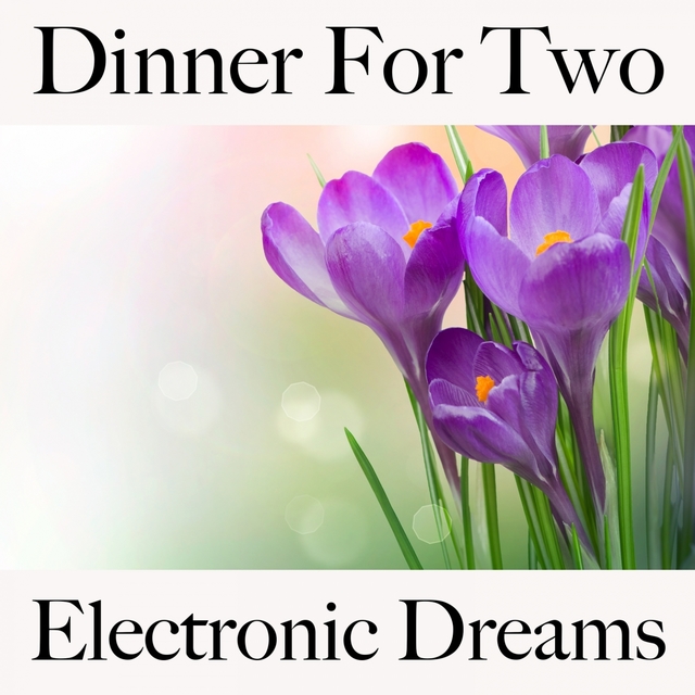 Dinner For Two: Electronic Dreams - Les Meilleurs Sons Pour Se Détendre